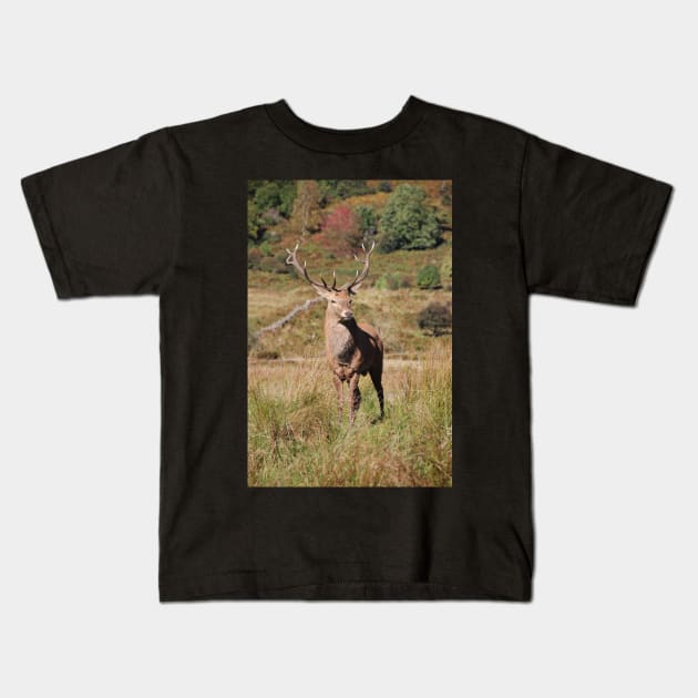 Monarch of the Glen Kids T-Shirt by orcadia